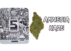 5boro | Flower | Amnesia Haze | 3.5g