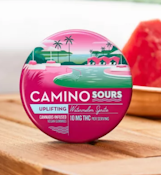 Camino | Edibles | Sour Watermelon Spritz | 10-pack | 10mg