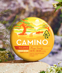 CAMINO - Camino - 'Balance' Mango Serenity - 100mg THC/100mg CBD - 20pk