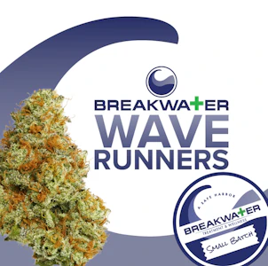 Breakwater - [MED] Breakwater | Wave Runners | 3.5g Flower