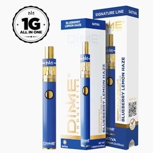 DIME INDUSTRIES - DIME 1G Blueberry Lemon Haze Disposable
