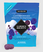 GARDEN SOCIETY - Edible - Snoozeberry - 1:1:1 THC:CBN:CBD - 20PK - 100MG