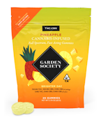 GARDEN SOCIETY - Edible - Pineapple - 1:1 THC:CBG - 20PK - 100MG