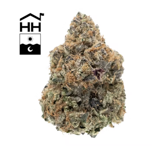 Harbor House - Lemon Gelato - 3.5g - Harbor House
