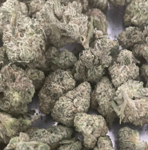 Green Leef Pharms - GLP-CaraCara#7-14G Prepack