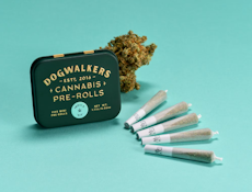 Dogwalkers | Preroll | Sit - Brownie Scout | 5-pack | 1.75g