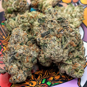 TEDS BUDZ 3.5G Garlic Shrimp Girl Flower