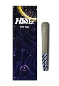 HEAD SPACE (NY) - Kiwi Kush 1g Preroll | Head Space