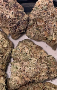 Green Leef Pharms - GushMints-1GPrePack