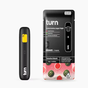 TURN - AIO - Watermelon Sugar High - 1G
