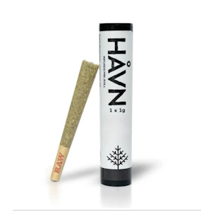 HAVN - Gumbo x LA Beaves | Hash Rosin Infused 1g Joint | TAXES INCLUDED