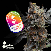 [REC] Garden Greens | Rainbow Mochi | 3.5g Flower