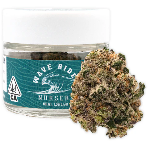 Wave Rider - Wave Rider Nursery - Modified Mintz - 3.5g Flower Main Image