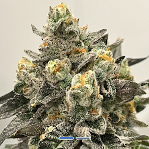 Ocean Breeze - Gas Face - 3.5g - Ocean Breeze