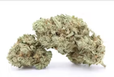 Ocean Breeze - Platinum Lemon Cherry Gelato S1 - 3.5g - Ocean Breeze