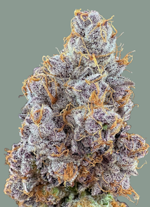 Trifecta Farms - Purple Parfait - 14g - Trifecta Farms