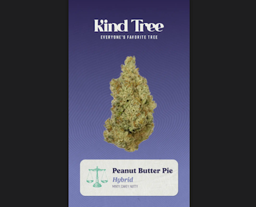 KIND TREE - Kind Tree | Peanut Butter Pie | 3.5g Flower