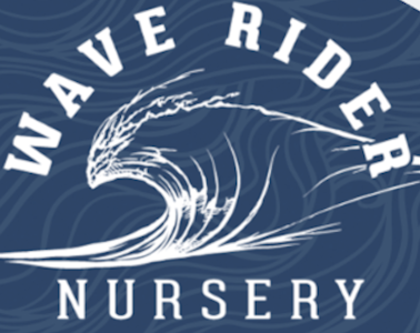 Wave Rider - Grape Soda (I) | 14g Bag | Wave Rider