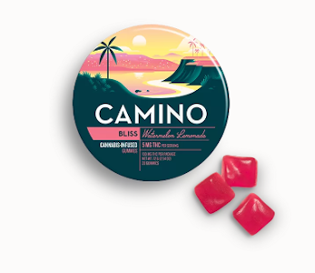 CAMINO - Camino | Bliss | Watermelon Lemonade | 5mg per piece