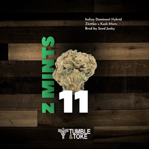 CNA - Zmints 11 - 3.5g - CNA Stores