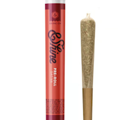 [MED] &Shine Preroll | Sour Diesel | 1g