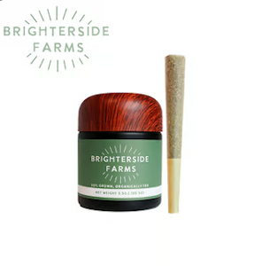 Brighterside - [REC] Brighterside | Free Mac | 1g/1pk Preroll