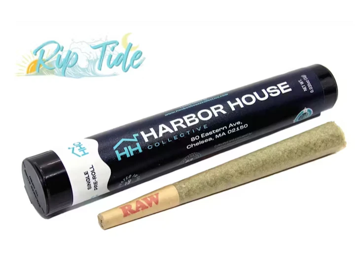 Harbor House - Super Boof x Albarino #3 - 1g - Harbor House Main Image