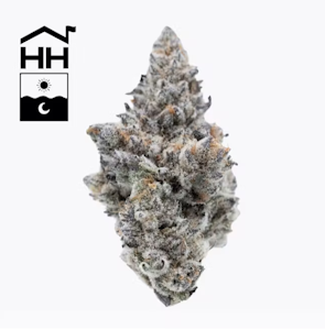 Harbor House - Animal Tsunami - 3.5g - Harbor House