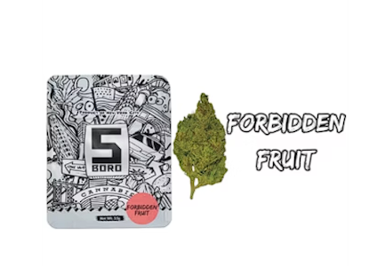 5 Boro Cannabis - 5BORO | FUEL PUMP| 3.5g