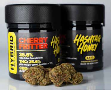 HASHTAG HONEY - HASHTAG | CHERRY FRITTER | 3.5G