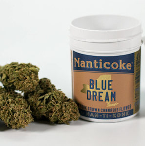 NANTICOKE - NANTICOKE | BLUE DREAM | 3.5G