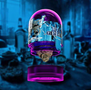 WIZARD TREES - Wizard Trees 3.5G Gas Gimlet Premium Indoor Flower