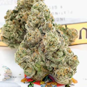 TEDS BUDZ 3.5G RS12 Indoor Flower