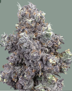 Trifecta Farms - Sugar Daddy - 3.5g - Trifecta Farms