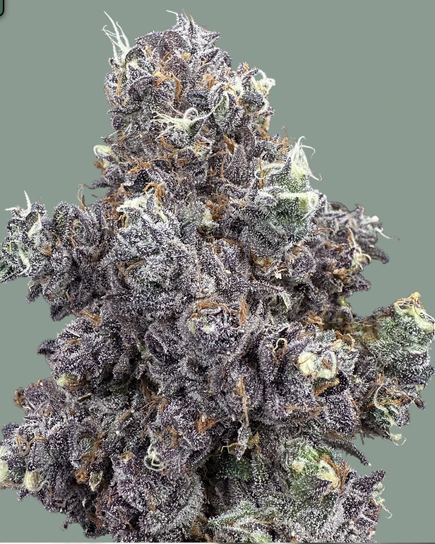 Trifecta Farms - Sugar Daddy - 3.5g - Trifecta Farms Main Image