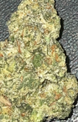 CheetahPiss-14GPrepack