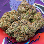 TEDS BUDZ 3.5G Ooze Flower