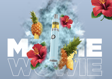 DIME INDUSTRIES - Mowie Wowie Balanced W/THCV | Energy 2g Disposable *Mix n Match* | TAXES INCLUDED