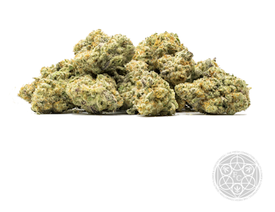 THE FRESH CONNECTION - FC MAC 31 | 3.5g Craft Cannabis | TAX INCLD