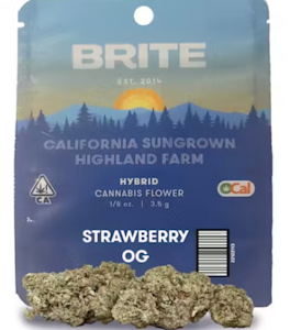 BRITE LABS - Brite Labs - HIghLand Ocal Flower - Grape Gushers - 3.5G