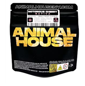 ANIMAL HOUSE - ANIMAL HOUSE | NOTORIOUS CHERRY | 5G SMALLS
