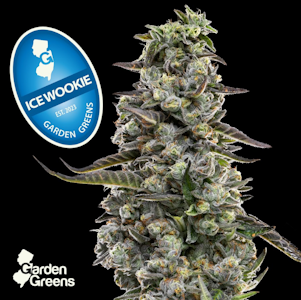 GARDEN GREENS - [REC] Garden Greens | Ice Wookie | 3.5g Flower