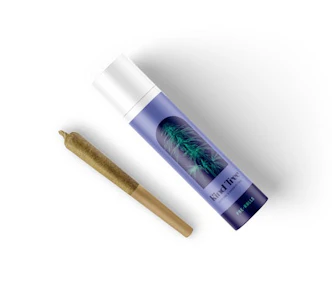 Kind Tree - [REC] KInd Tree | Platinum Peaches | 2pk/1.0g Pre-Rolls
