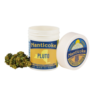 NANTICOKE - NANTICOKE | PLUTO | 3.5G