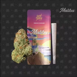 SEED JUNKY - Seed Junky - Malibu - Preroll - 1G