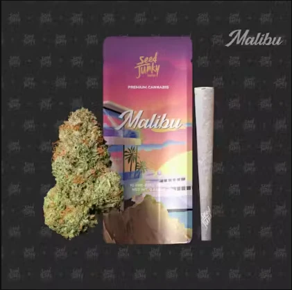 Seed Junky - Seed Junky - Malibu - Preroll - 1G Main Image