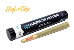 Ghani Haze - 1g - Harbor House