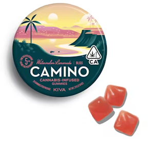 CAMINO - Watermelon Lemonade - 100mg