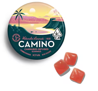 CAMINO - CAMINO - Watermelon Lemonade - 100mg