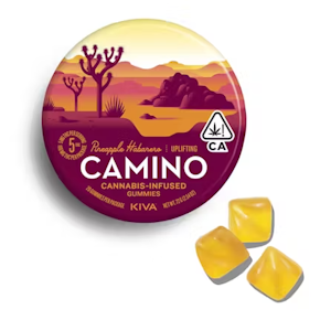 CAMINO - Pineapple Habanero - 100mg